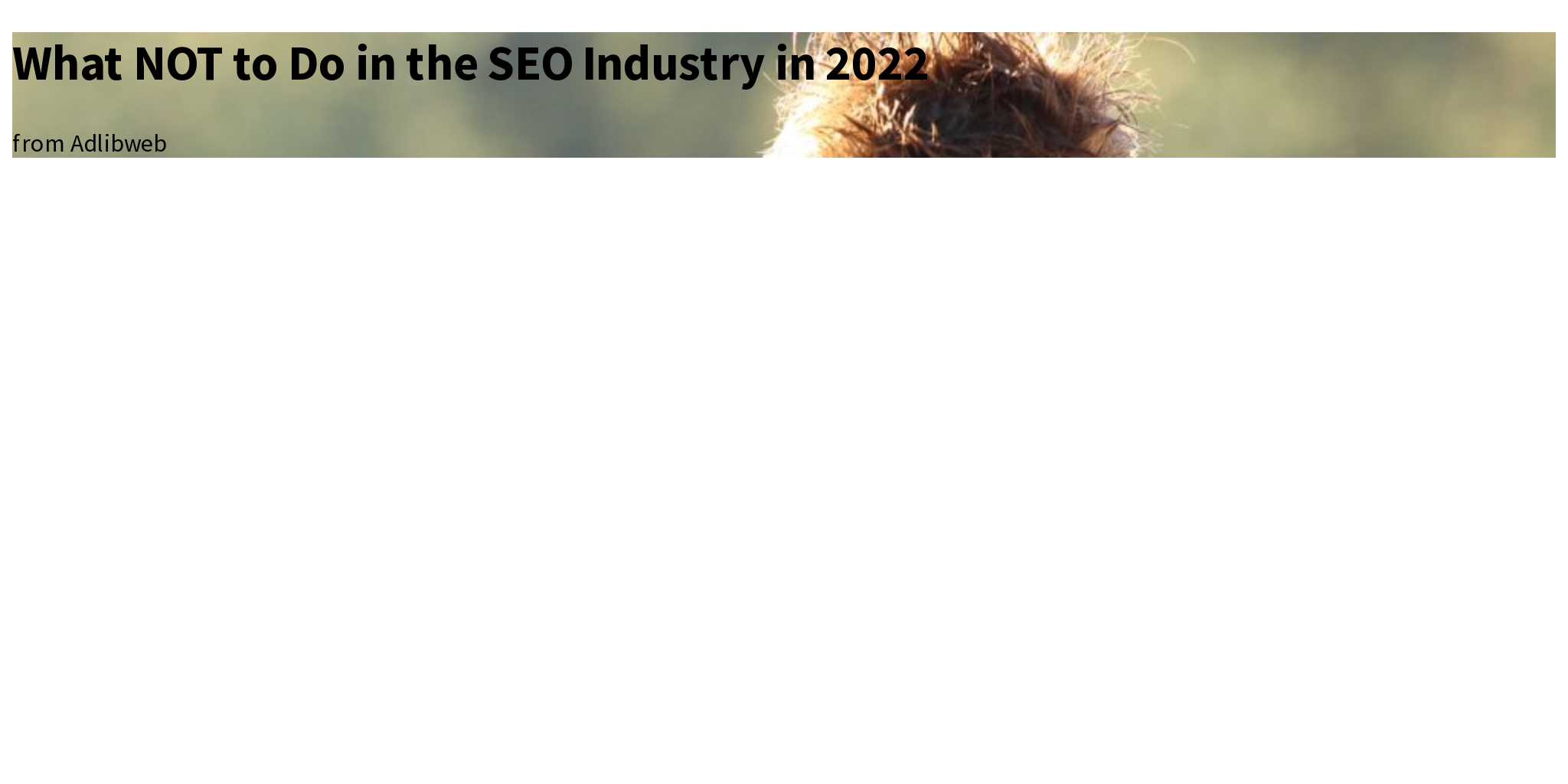 What NOT To Do In The SEO Industry In 2022 Briefly
