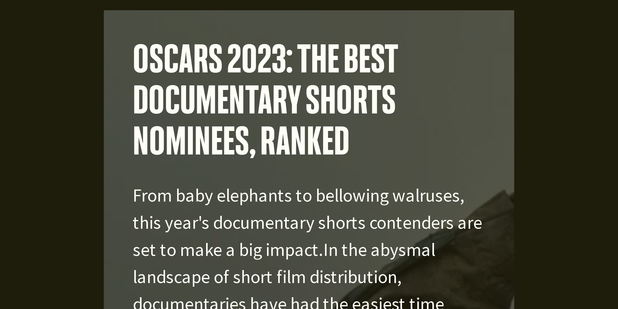 Oscars 2025 The Best Documentary Shorts Nominees, Ranked Briefly