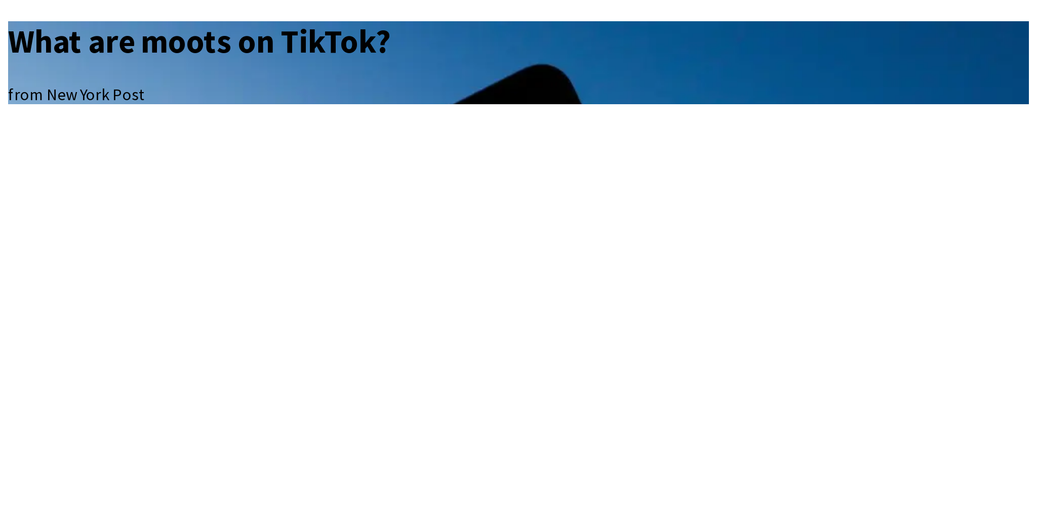 What Are Moots On Tiktok