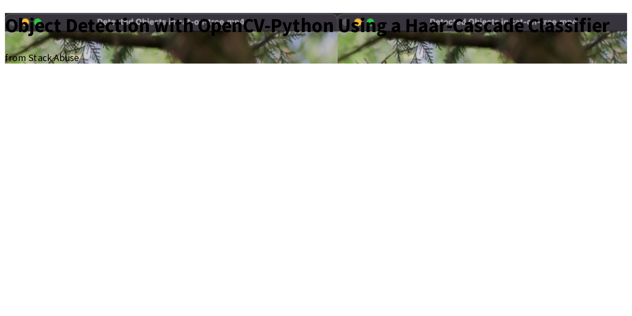 Object Detection Made Easy: Haar Cascade Classifier Tutorial – ADETVC