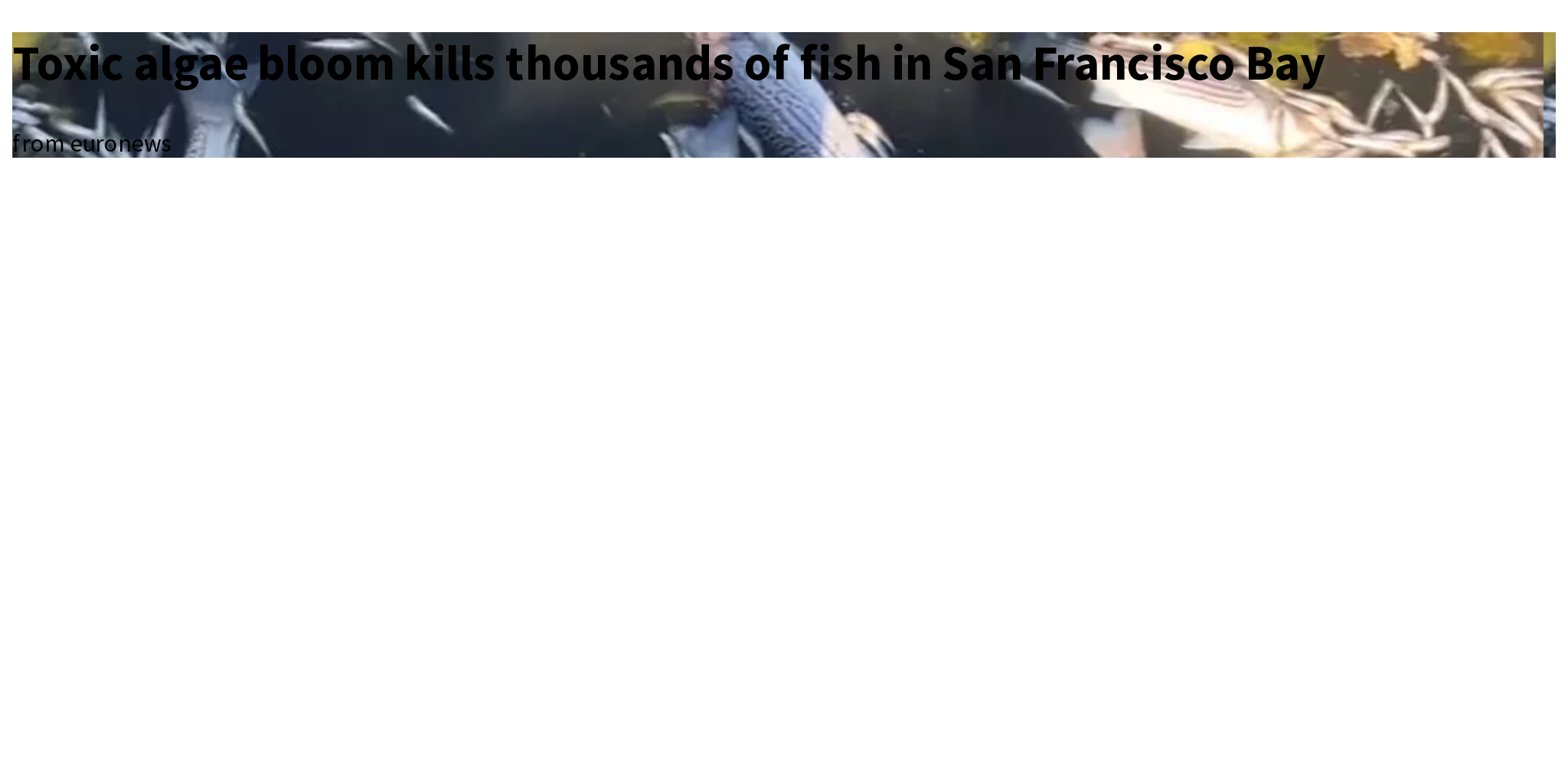 Toxic algae bloom kills thousands of fish in San Francisco Bay Briefly