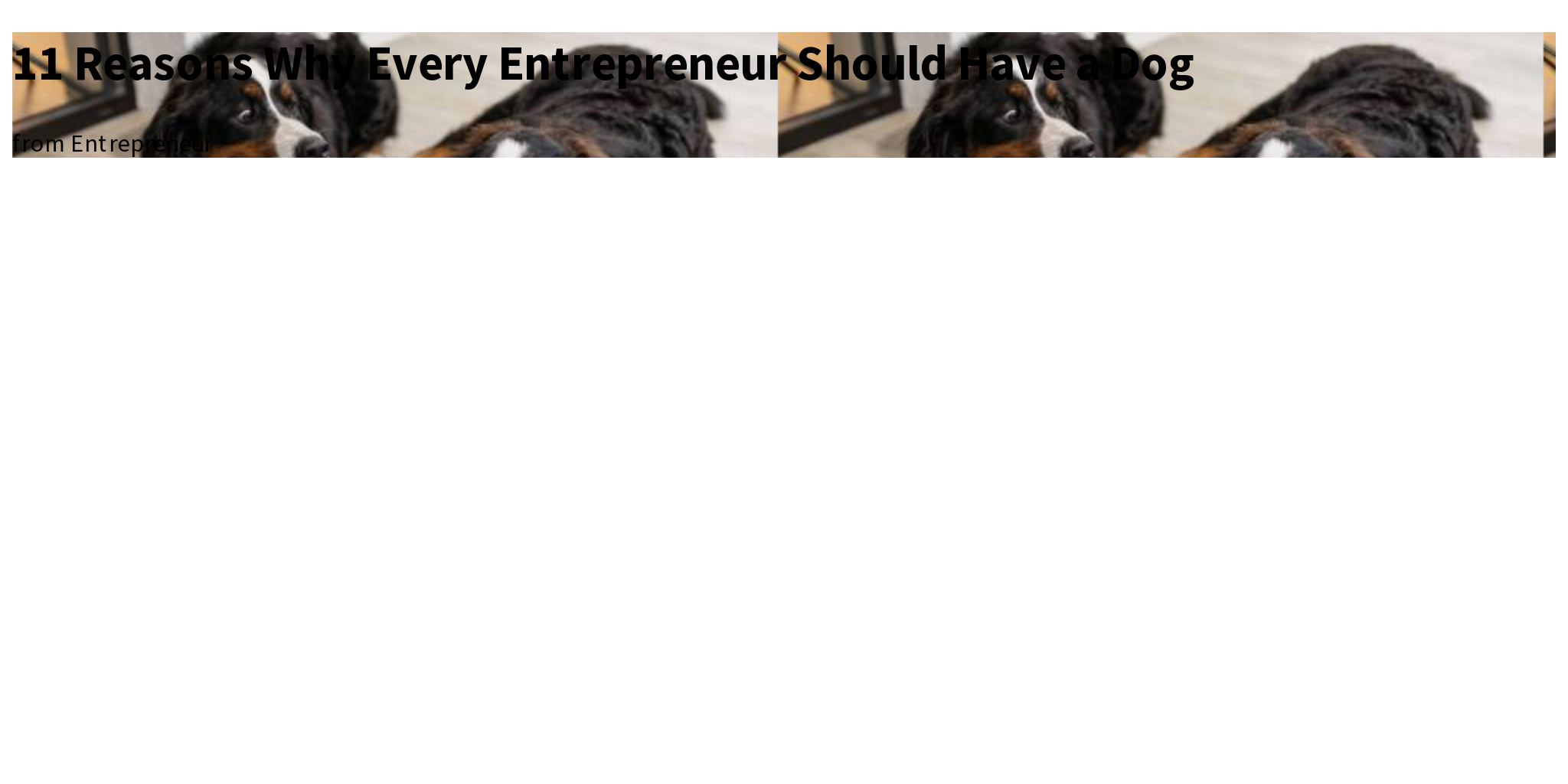 11 Reasons Why Every Entrepreneur Should Have a Dog Briefly