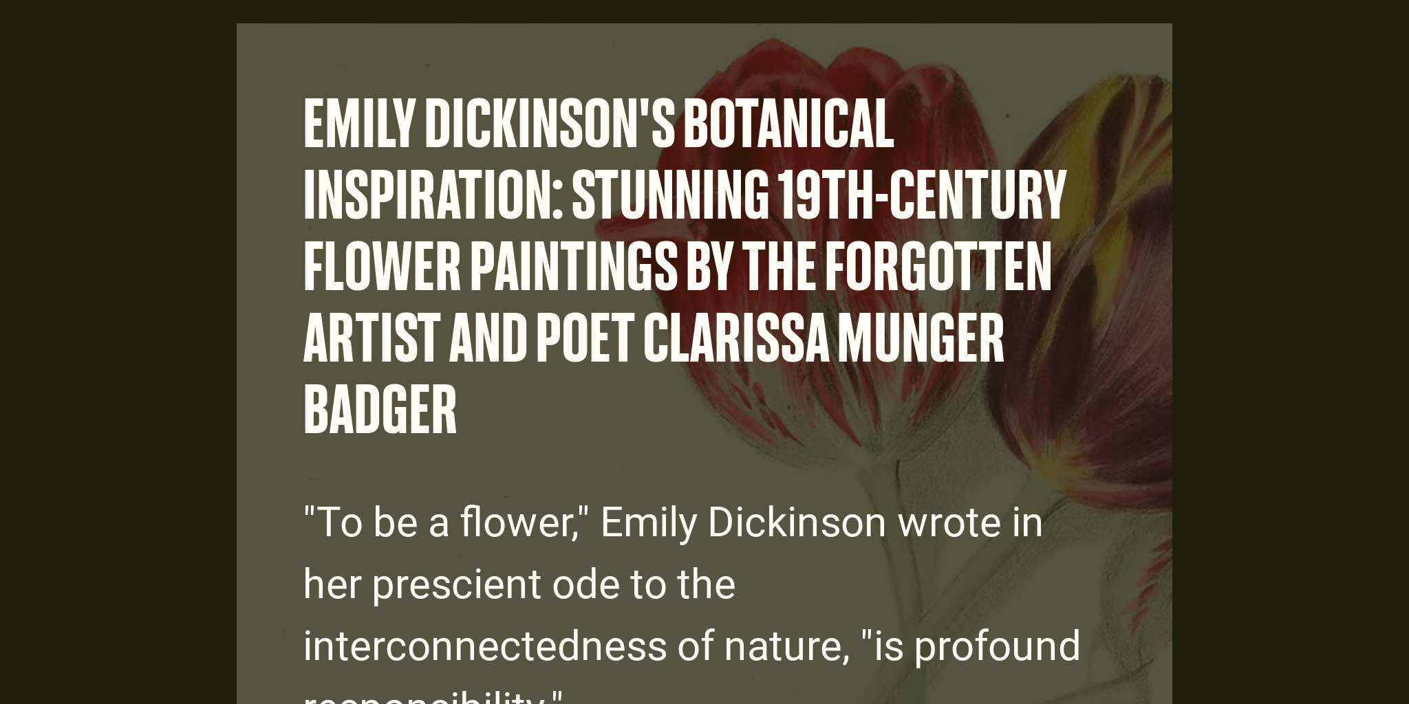 Emily Dickinson S Botanical Inspiration Stunning 19th Century Flower Paintings By The Forgotten